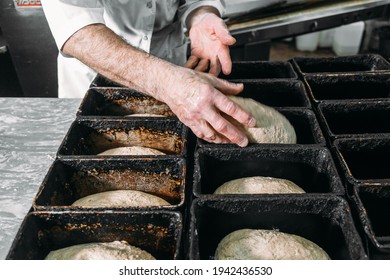 A Man Puts Dough In A Bread Pan. Bread Making Process 