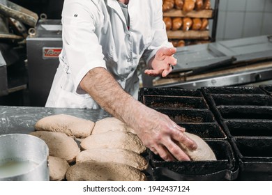 A Man Puts Dough In A Bread Pan. Bread Making Process 