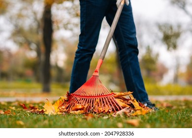 7,172 Cleaning Up Leaves Images, Stock Photos & Vectors | Shutterstock