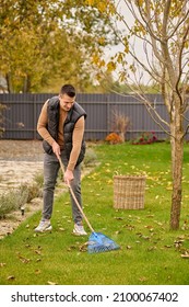 Man Raking Leaves On Lawn In Garden