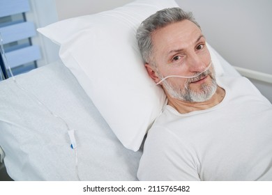 Man Receiving Supplemental Oxygen Through Nose Tubes