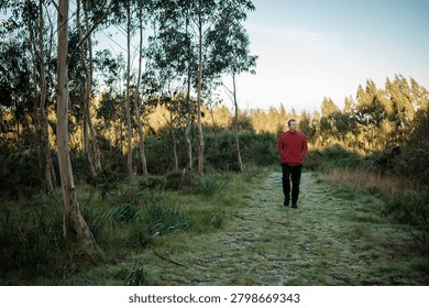 Man in a red jacket walking alone on a frosty path through a eucalyptus forest