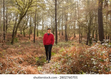 Man in red jacket walking through autumn forest path with golden trees