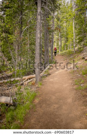 Man with a red pack hikes through a tree forest on a dirt trail