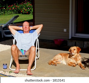 dog lounge chair