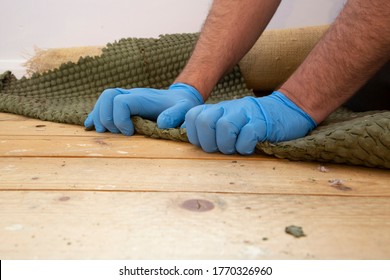 Man removing carpet underlay from a wooden floor.Home improvement project concept - Shutterstock ID 1770326960