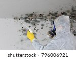 A Man removing Mold fungus with respirator mask 