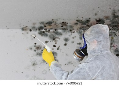A Man removing Mold fungus with respirator mask  - Shutterstock ID 796006921