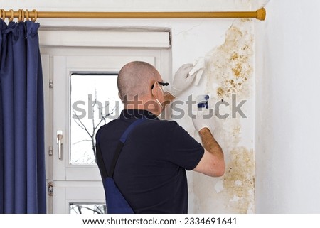 Man removing mold or mildew growing behind the drapes of an external wall in an old house with antifungal spray and tissues.