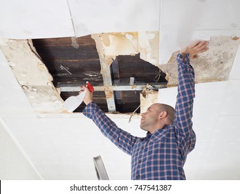 Mold Repair Images Stock Photos Vectors Shutterstock