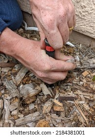 Man Replacing A Sprinkler Head In The Ground With Wood Chips. Sprinkler System Repair.