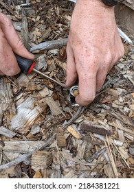 Man Replacing A Sprinkler Head In The Ground With Wood Chips. Sprinkler System Repair.