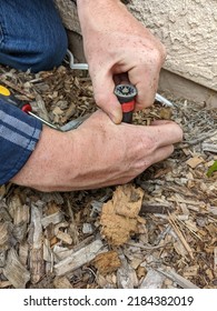 Man Replacing A Sprinkler Head In The Ground With Wood Chips. Sprinkler System Repair.