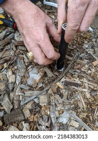 Man Replacing A Sprinkler Head In The Ground With Wood Chips. Sprinkler System Repair.