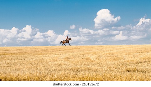 Man Ride Horse On Field - Freedom And Hapiness