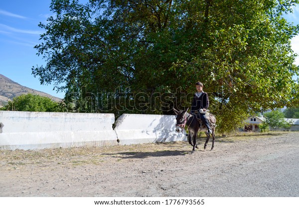 A man rides a donkey\
on a road for cars in the mountains of Uzbekistan, Beldersay, 22\
June 2020