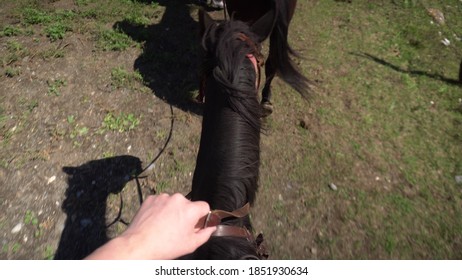 A Man Rides A Horse Top View. A Riding Horse Goes On The Farm.