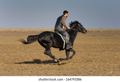 Man Riding Black Horse On Field