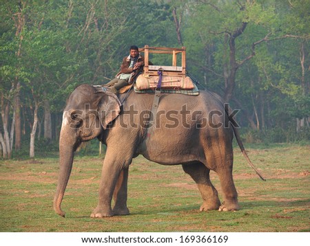 man riding elephant in nature park Chitwan ,Nepal       