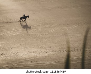 Man Riding Horse Alone in the Sand along Raglan Beach New Zealand with a Silhouette and Shadow