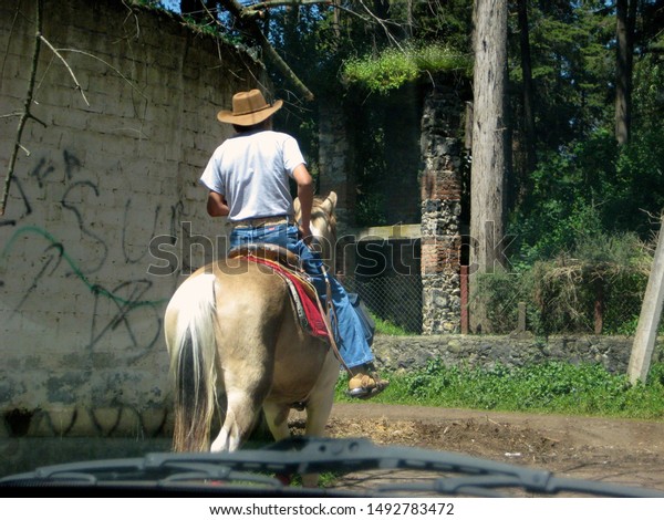 A man is\
riding a horse in front of the\
car.