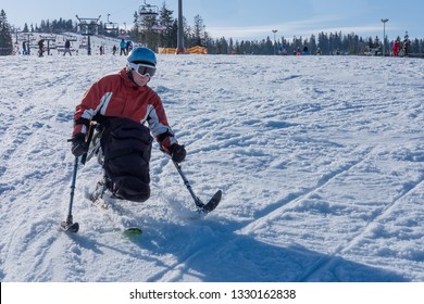 Man Riding At Monoski From The Mountains - Winter Sport For Disability People, Active Therapy For Wheelchair Man