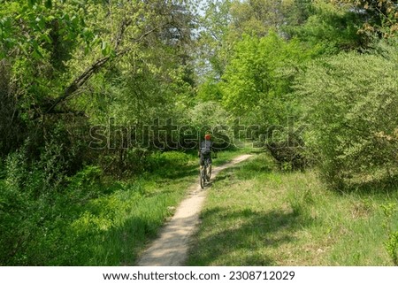Man riding mountain bike through forest centered in frame
