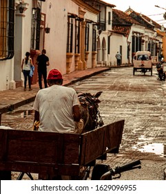 Man Riding A Mule Cart In Colombia