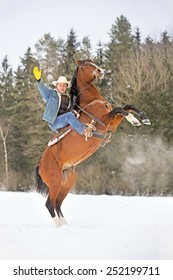 Man Riding A Rearing Bay Horse.