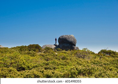 Man & Rocks