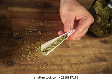 Man Rolling Marijuana Cannabis Joint In Coffee Shop Amsterdam With CBD Weed Buds In Glass Jars.