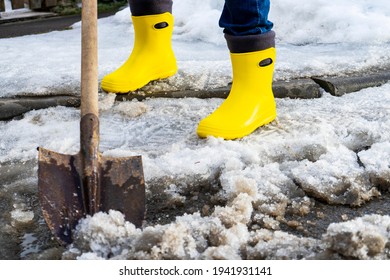 Man In Rubber Boots Clean Meerschaum Track Of Old Snow. He Shovels Off Dirty Wet Snow With A Shovel So That It Melts Faster