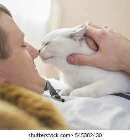 Man Rubs With Cat On The Nose. Man Hugging White Kitten.