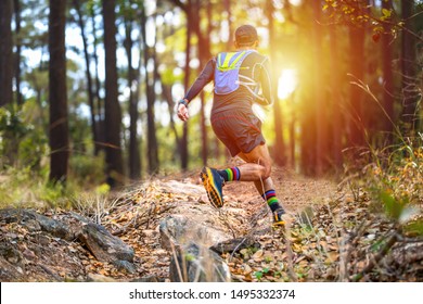 A man Runner of Trail and athlete's feet wearing sports shoes for trail running in the forest - Shutterstock ID 1495332374