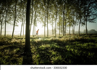 Man Running Alone In A Forest Of Tree At The Sunrise