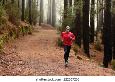 Man running in forest woods training and exercising for trail run marathon endurance race. Fitness healthy lifestyle concept with male athlete trail runner. - Powered by Shutterstock