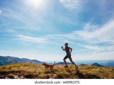 Man runs with his beagle dog on mountain top