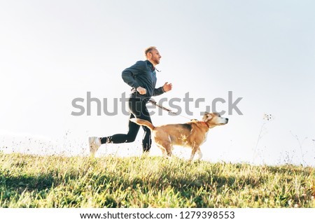 Man runs with his beagle dog. Morning Canicross exercise concept image Stock photo © 