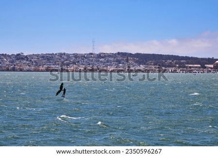 Man sailboarding on choppy bay waters with distant San Francisco shoreline