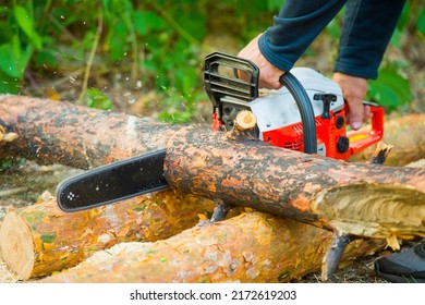 9,368 Man holding saw Images, Stock Photos & Vectors | Shutterstock