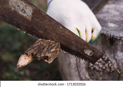 a man sawing a piece of wood with a saw, cut firewood with a saw, sawing boards, logs