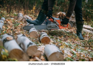 A man is sawing a tree with a chainsaw. A young guy works in a pine forest, gathers firewood for the winter. A lumberjack saws a trunk with a saw among the trees. - Powered by Shutterstock