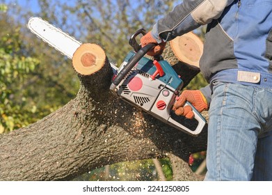 Man sawing wood chainsaw. sawdust flies apart.
