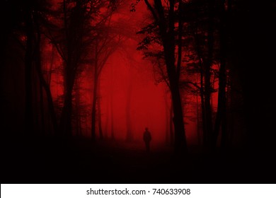 man in scary forest, dark horror landscape, halloween background - Shutterstock ID 740633908