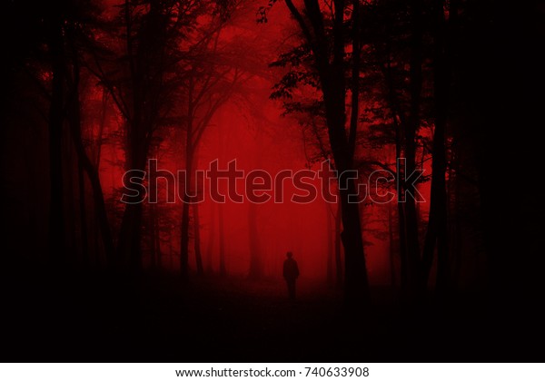 ハロウィーンの背景に怖い森 暗いホラー風景の人 の写真素材 今すぐ編集