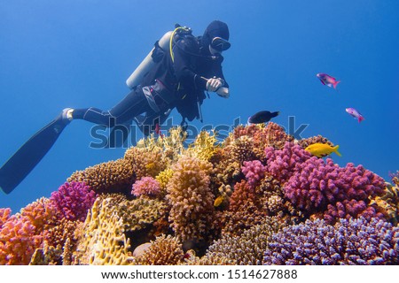 Man scuba diver checking beautiful colorful healthy coral reef with diversity of hard corals