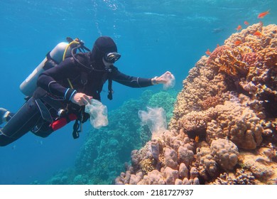 Man scuba diver cleaning plastic  from the tropical coral reef. World ocean contaminated by  plastic. Environment pollution concept.