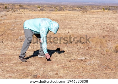 A man searches the ground for Fire Agates at Round Mountain Rock Hound Area, near Duncan, Arizona, USA