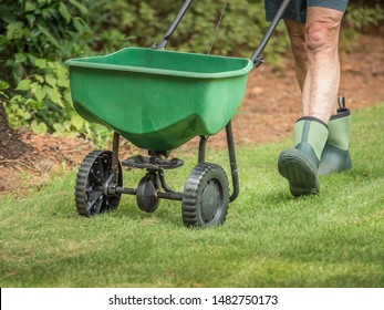 Man seeding and fertilizing residential backyard lawn with manual grass seed spreader.