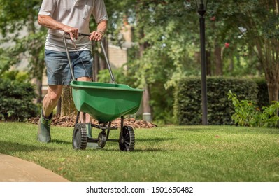 Man Seeding And Fertilizing Residential Backyard Lawn With Manual Grass Seed Spreader.